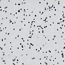 Линолеум Forbo Sphera Ec 450000 white  | FLOORDEALER